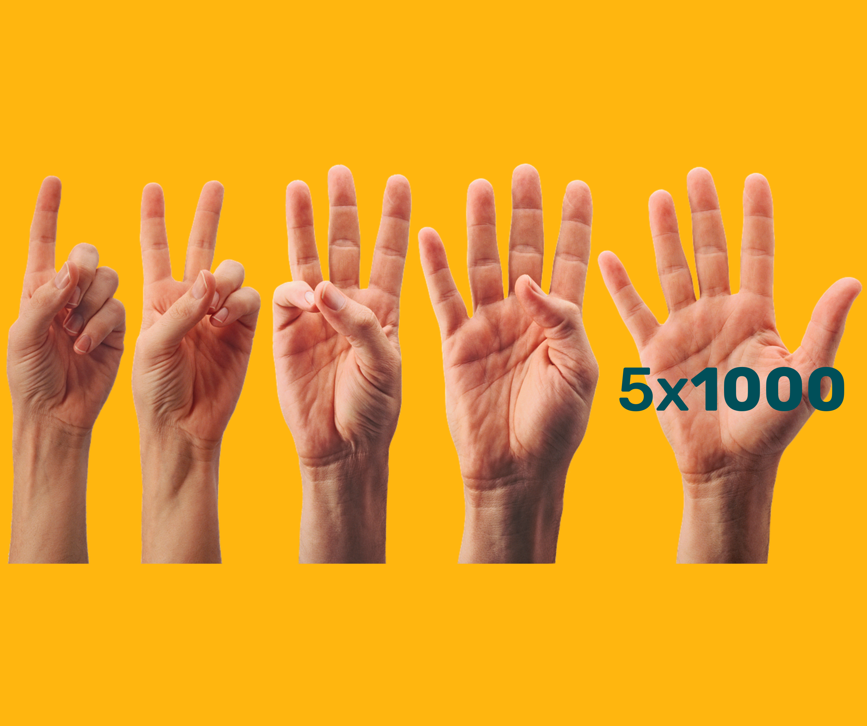 Lunga E Incontrollabile: guida di sopravvivenza alla campagna di 5x1000